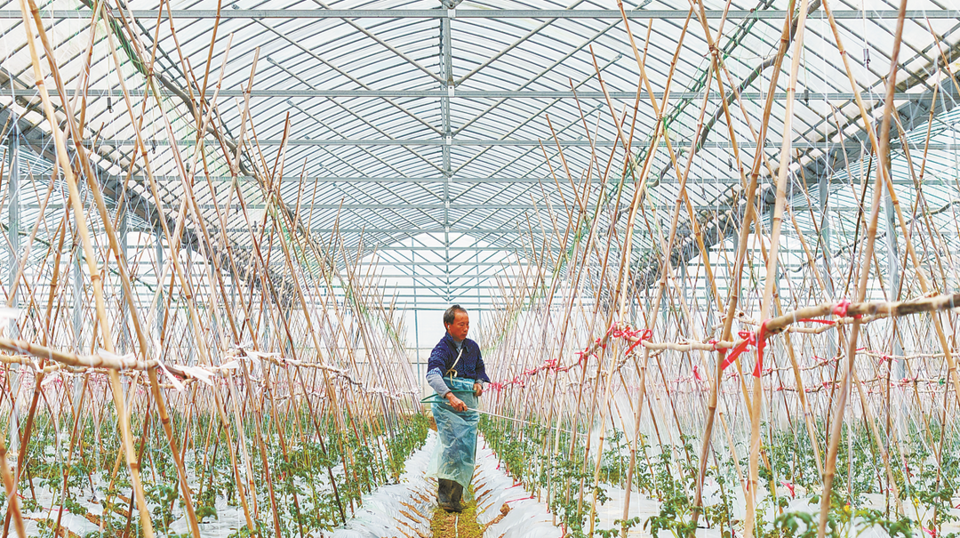 田間管理搶農時