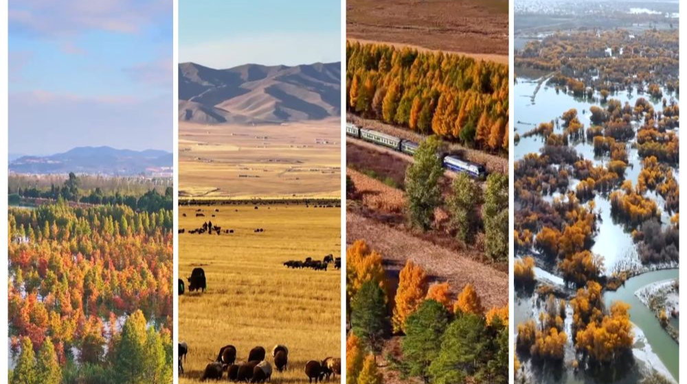 文化中國行｜賞秋正當時！“文旅+”新業態為秋日經濟注入新活力