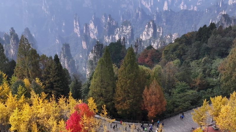 斑斓秋色引客来