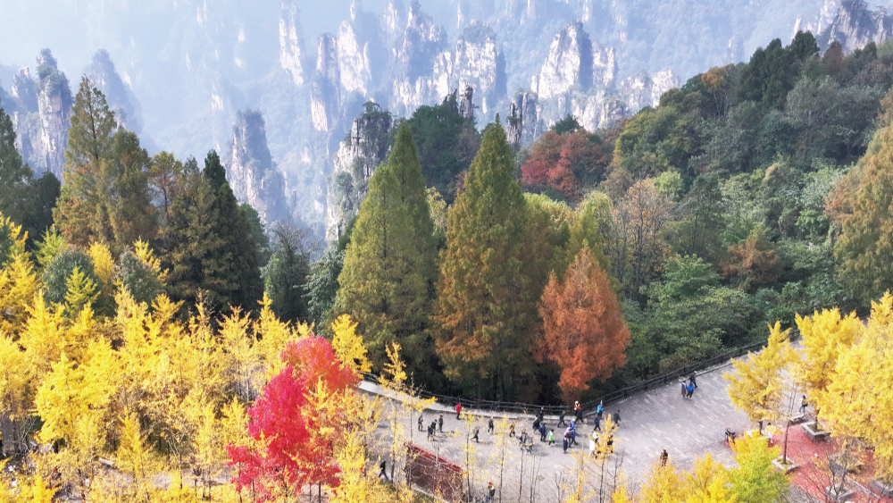 斑斕秋色引客來