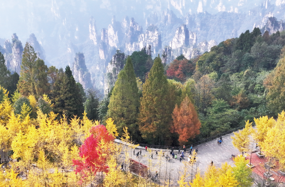 斑斓秋色引客来