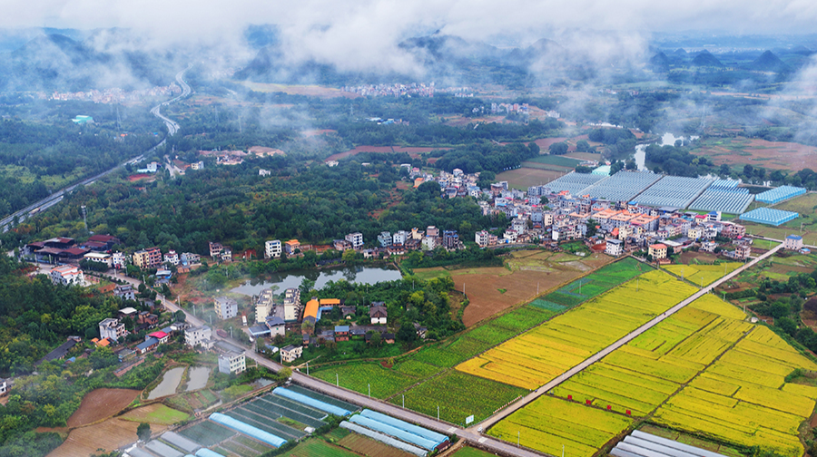 產(chǎn)業(yè)生態(tài)雙豐收