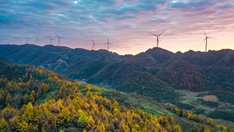 “大风车”转出乡村振兴新动能