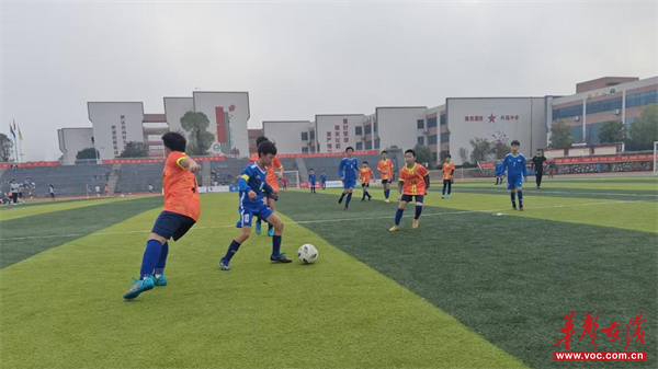 辰溪县2025年第二届小学生足球周末联赛开赛