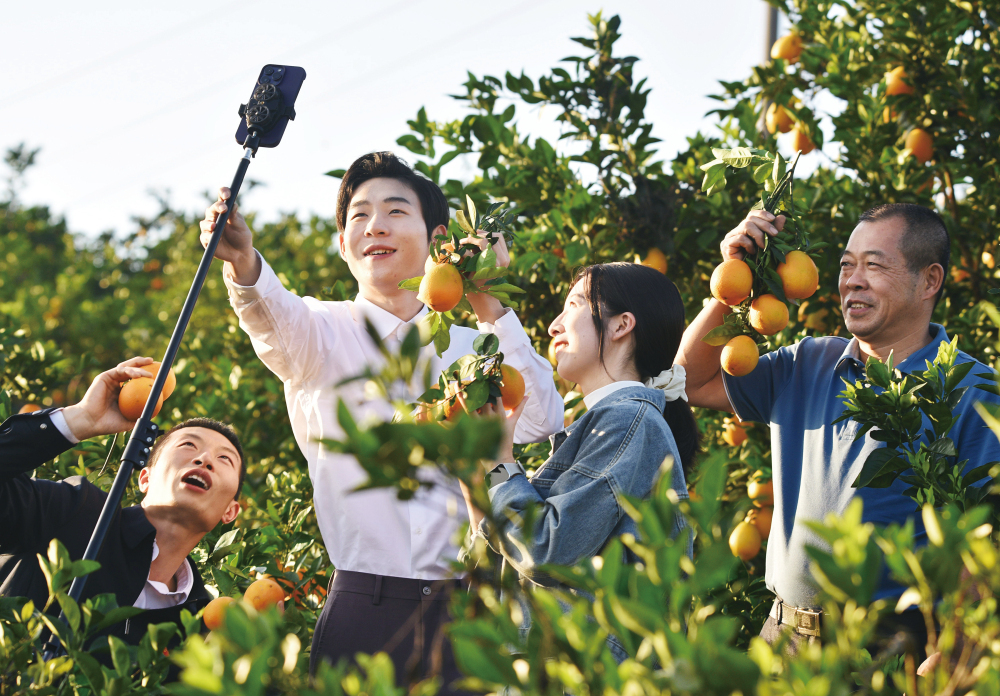 党员直播 助农增收