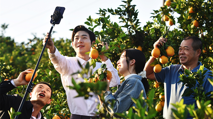 党员直播 助农增收