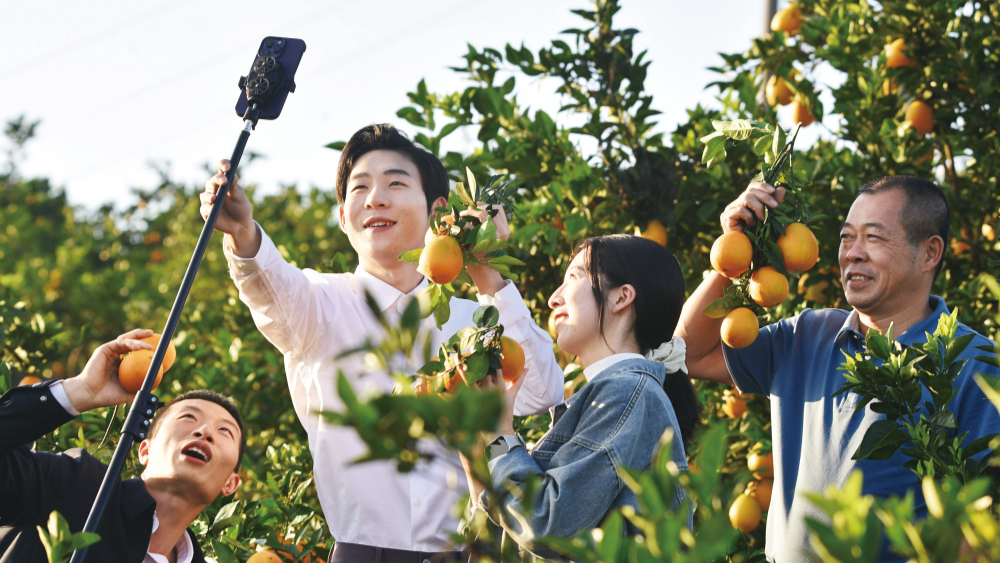 黨員直播 助農增收