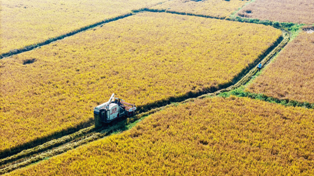 奏響豐收進行曲