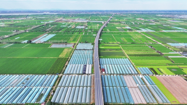 拎穩“菜籃子” 鼓起“錢袋子”