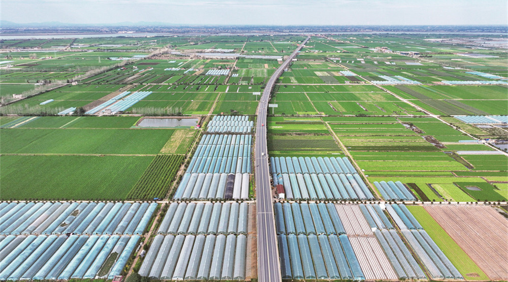 拎穩“菜籃子” 鼓起“錢袋子”