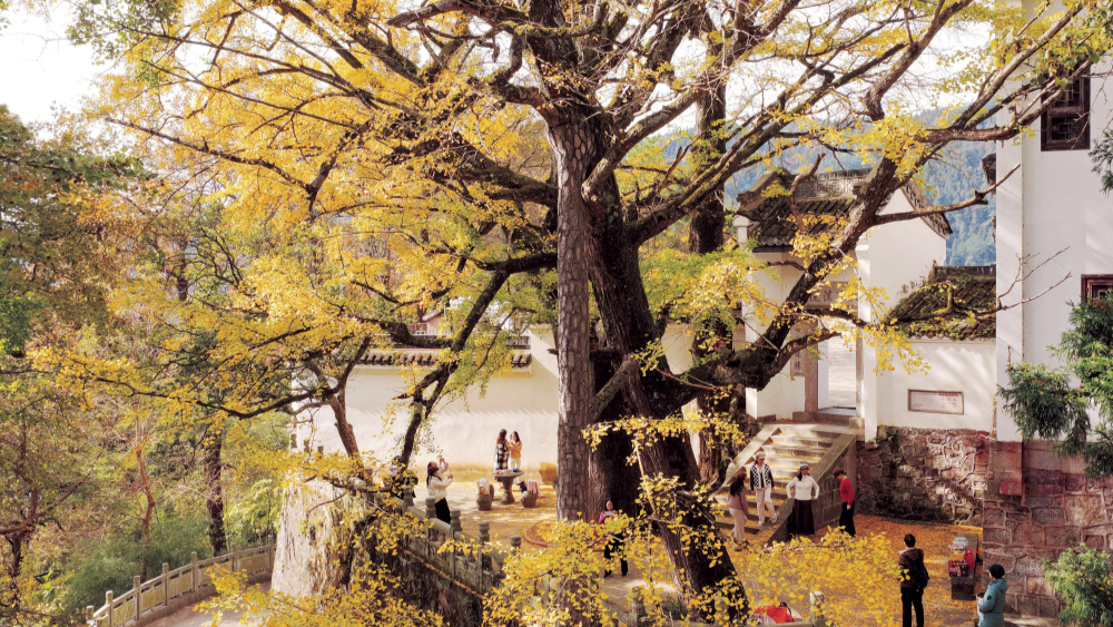 冬韻南岳 景醉游人