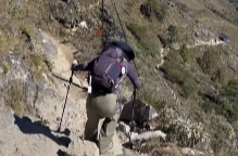 辣點財經|“吊牌”風波反轉，讓善意浮出水面