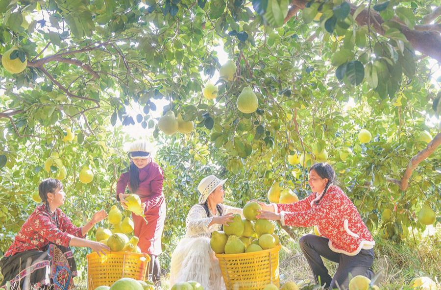 農旅融合促增收