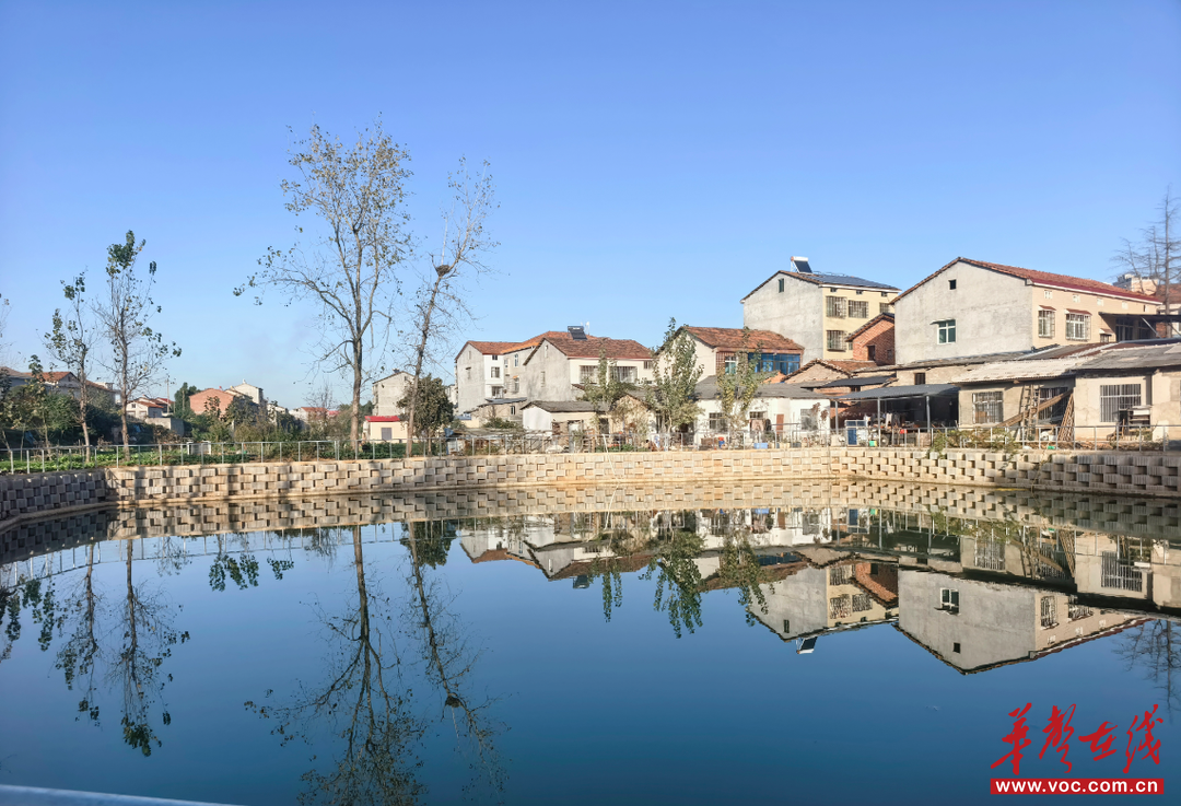 湖南岳阳：城中村黑臭水塘变水清岸绿  护航长江大保护