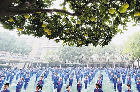 記者探訪“兩小時運動令”下的長沙校園