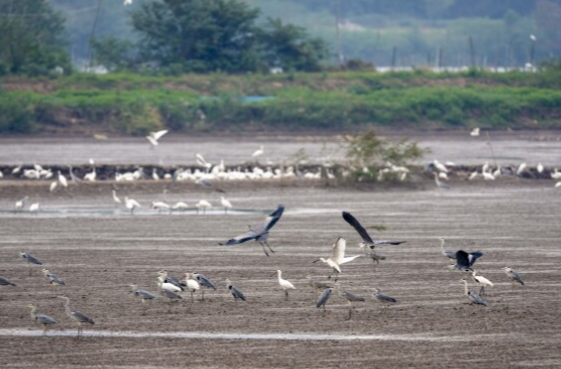 河湖共治，幸福共享 ——“十四五”湖南水利高质量发展纪实（三）