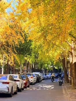 长沙初冬调色盘打翻了，随手拍皆成画