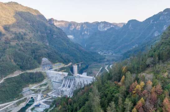 政府之手筑牢“支撑”，市场之手激发“活力”