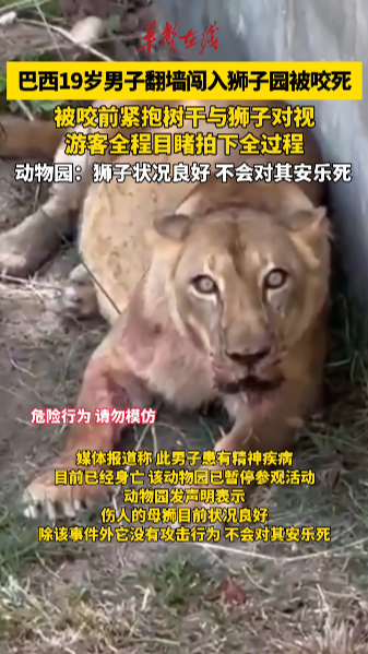 巴西19岁男子闯入狮子园区被咬死