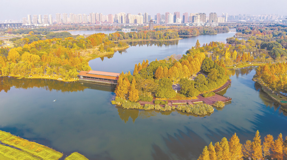 色彩斑斓洋湖美