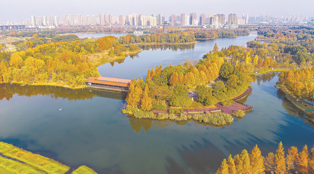 色彩斑斓洋湖美