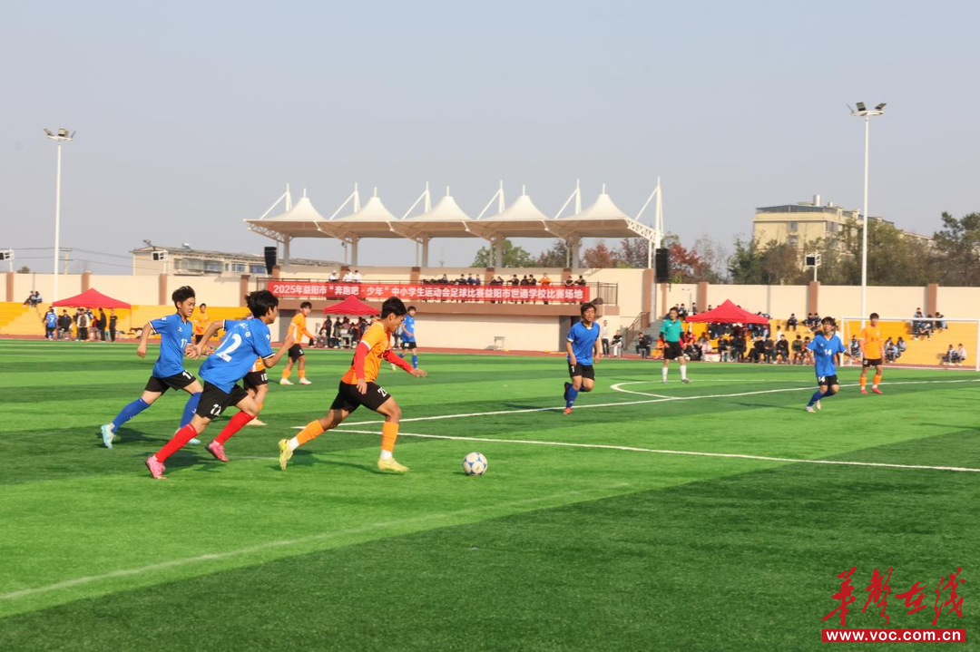 2025年益阳市中小学生足球比赛圆满收官 五大组别冠军荣耀加冕