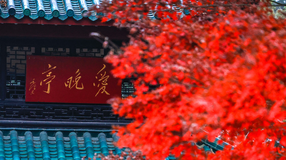 我是刘贵香 |  岳麓山上