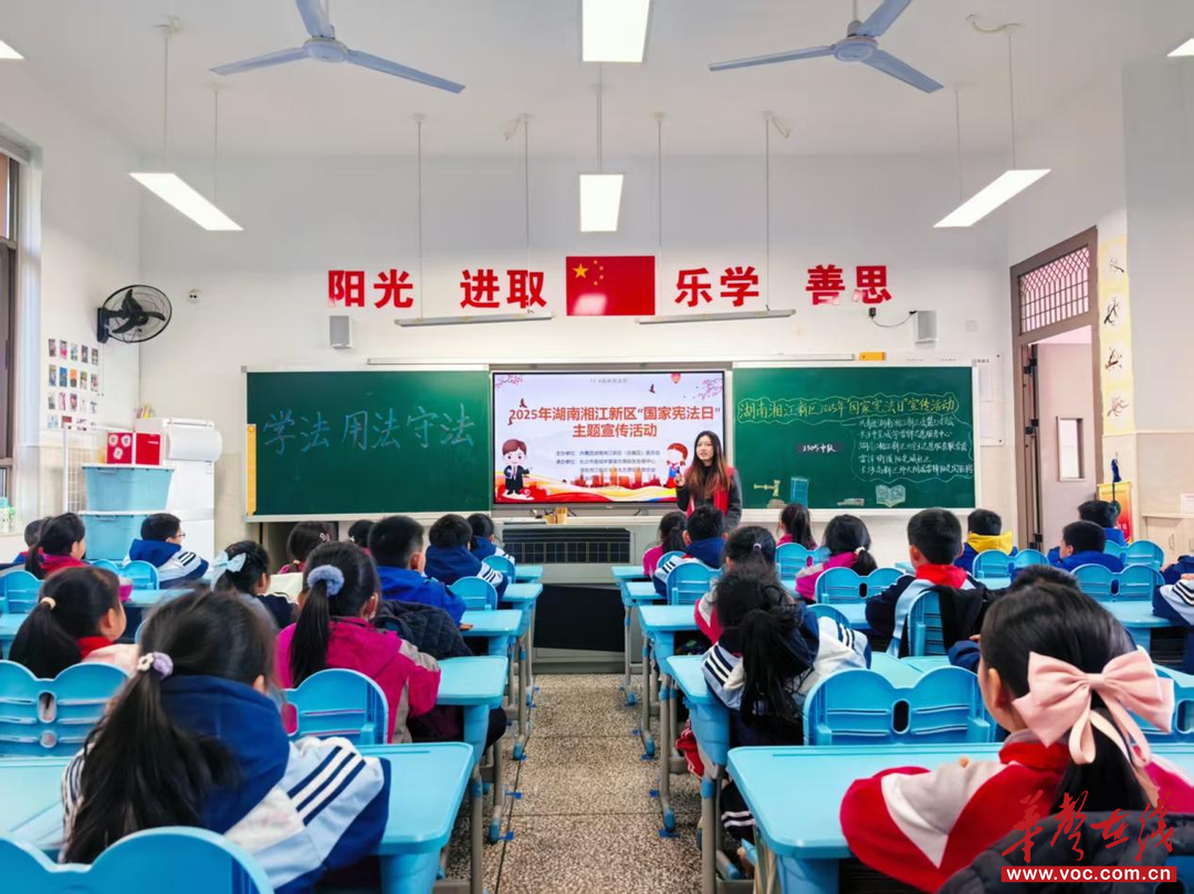 阳光城社区：法护成长防诈同行，筑牢青少年安全双防线