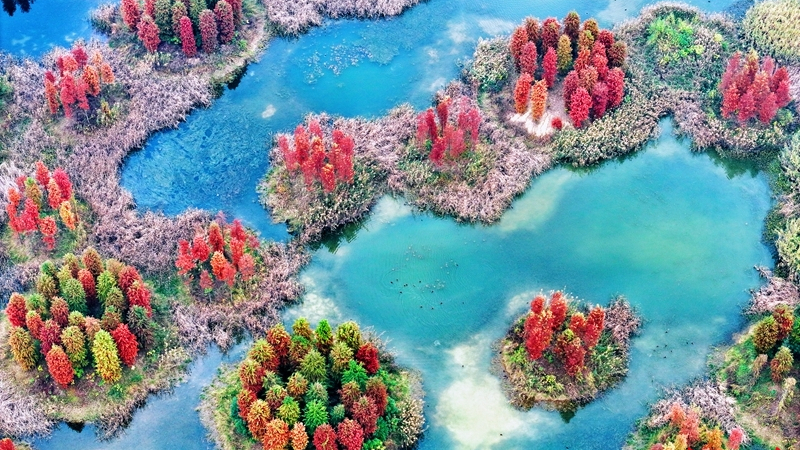 大泽湖：冬日美景