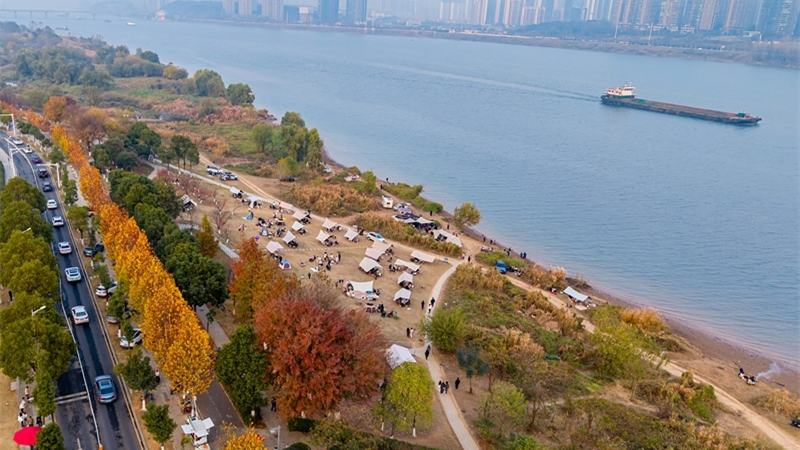 江畔露营 乐享暖阳