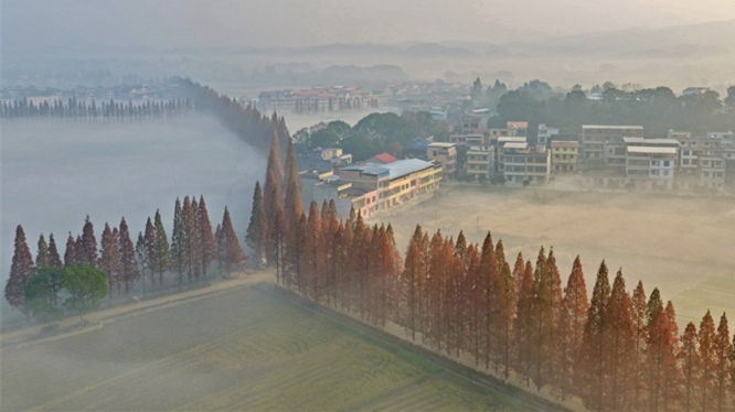 晨雾弥漫 如梦似幻
