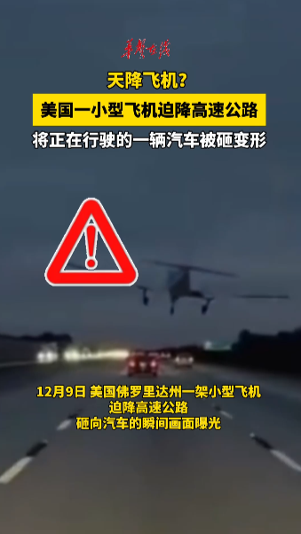 美国一汽车行驶时被迫降飞机砸变形