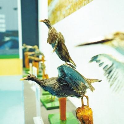 文化賦能鄉村發展