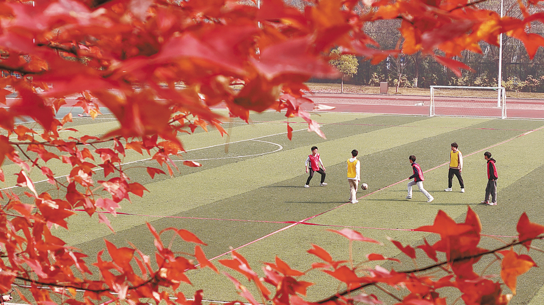 青春跃动运动场