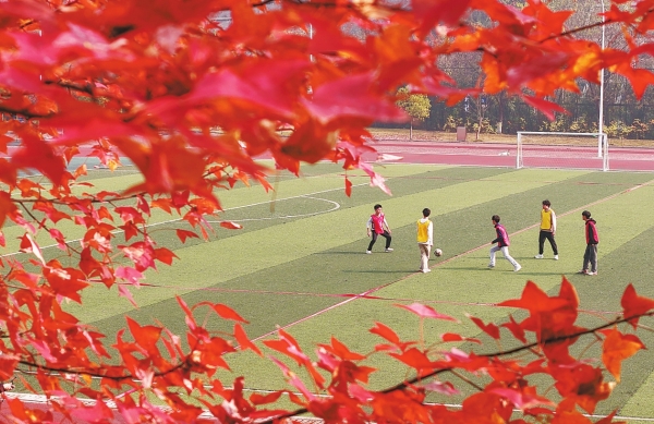 青春跃动运动场