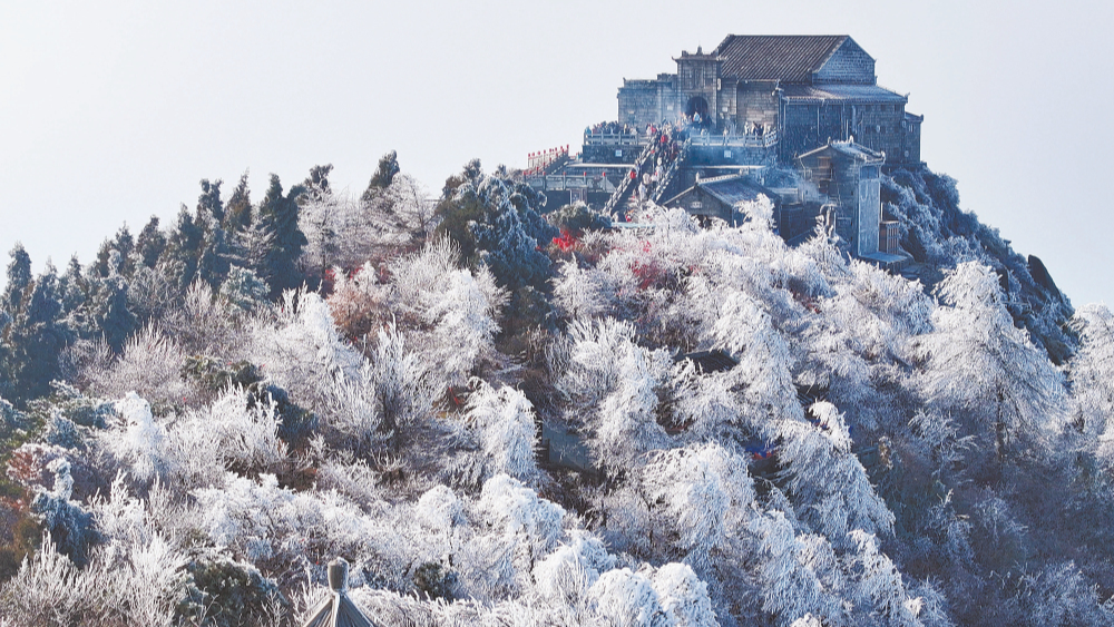 玉树琼枝南岳美