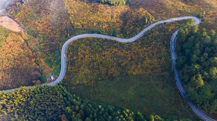 “四好农村路”助力乡村振兴