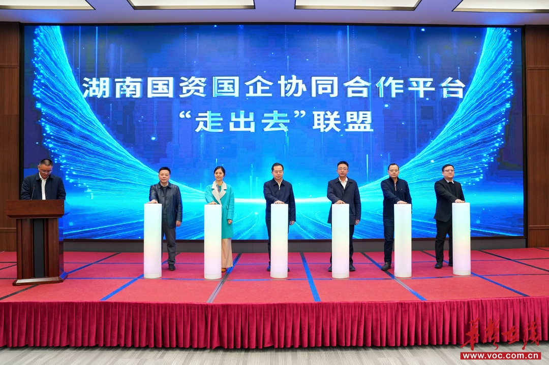 省属国企抱团出海！湖南国资国企协同合作平台“走出去”联盟启动
