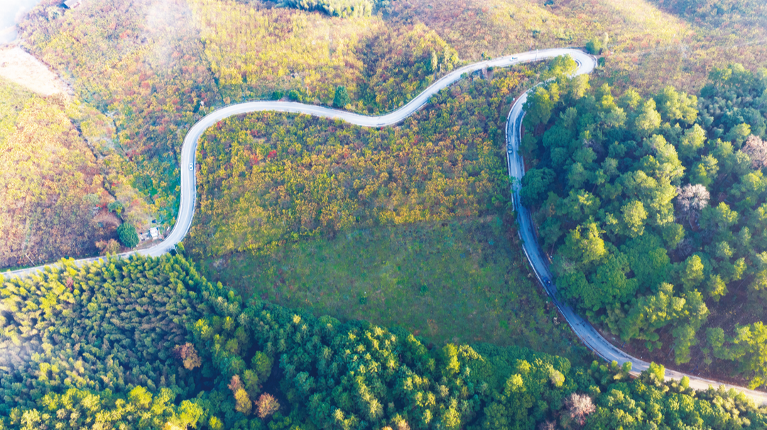 “四好农村路”助力乡村振兴