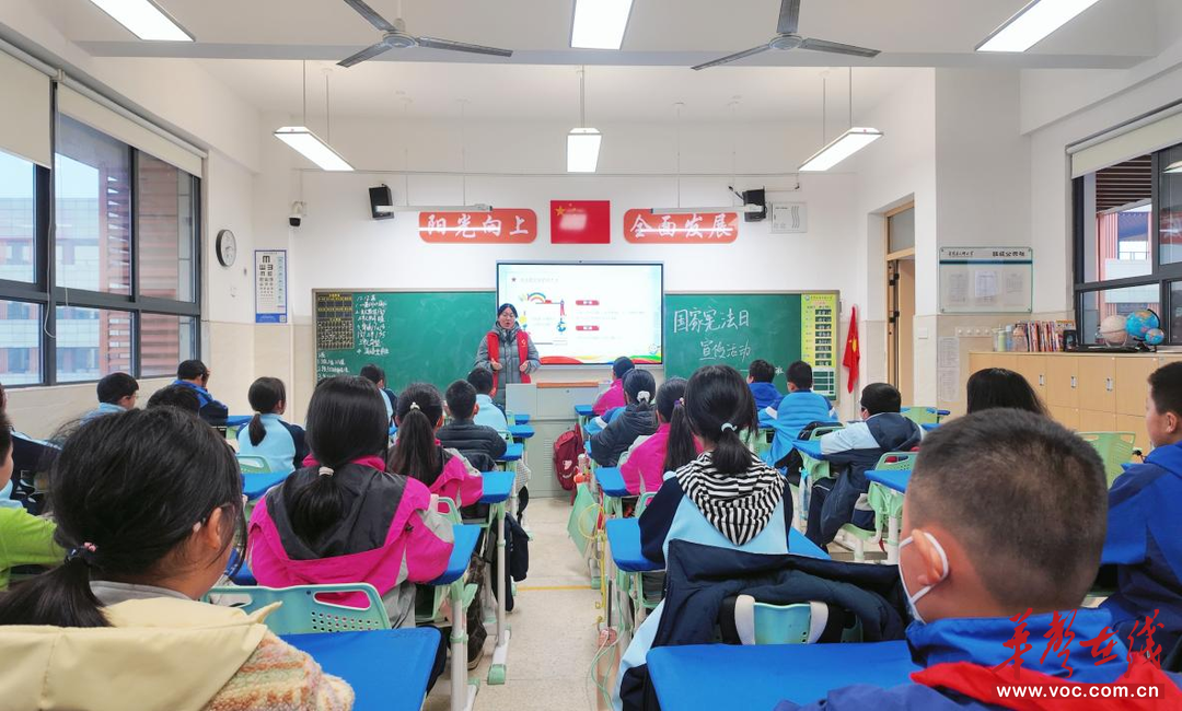 望城区真人桥村：法润童心宪法同行 筑牢青少年安全防护线