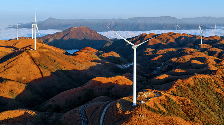 朝阳染金万洋山