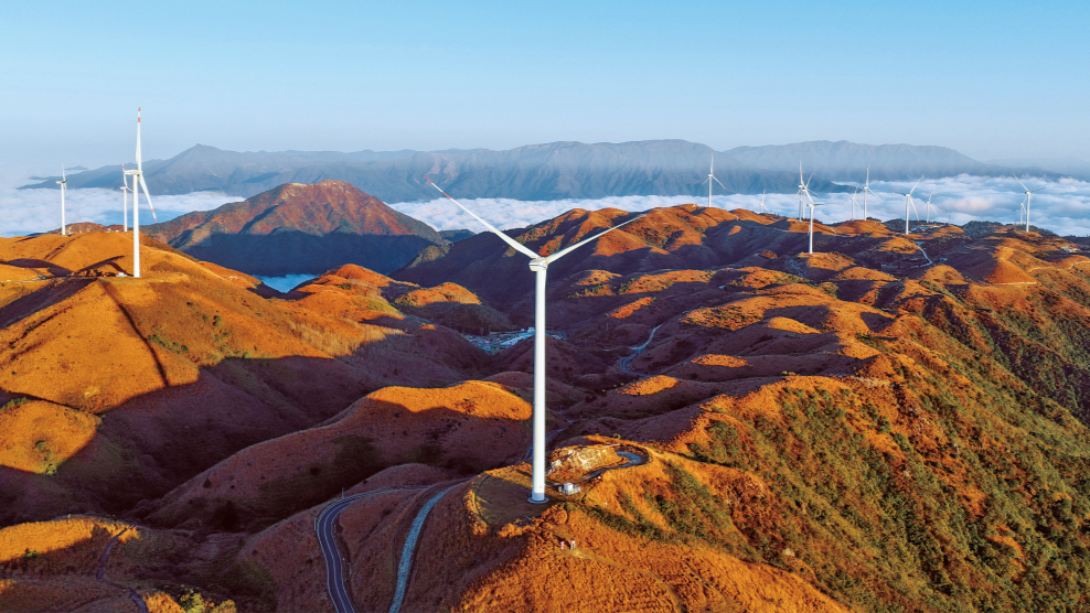 朝阳染金万洋山