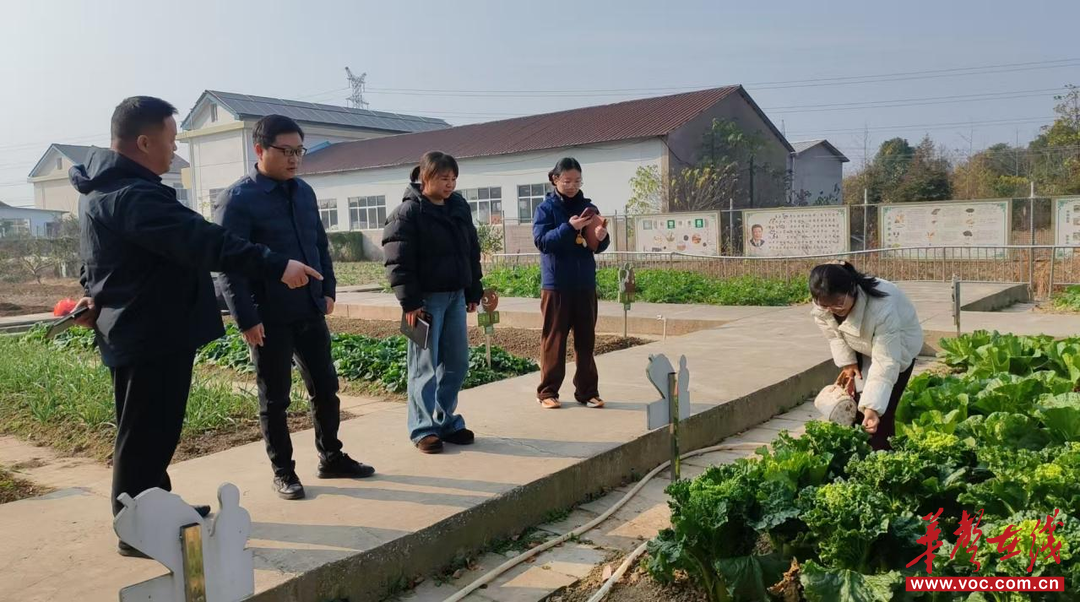 崇德中学课题组赴丹洲乡中心小学开展专题交流