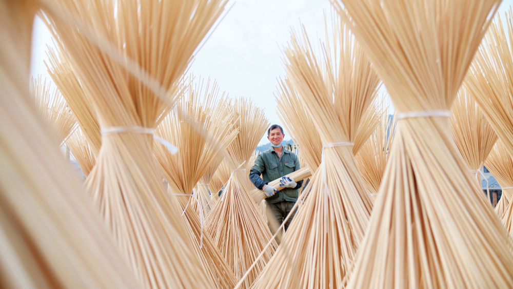 乡村振兴新引擎