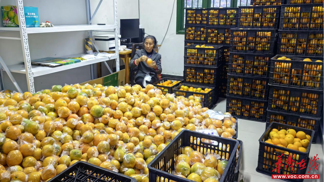 消费助农促增收，双线对接助振兴——中建五局驻村工作队助力羊坡村农产品销往全国