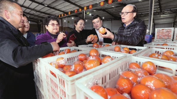 特殊的“新农人”