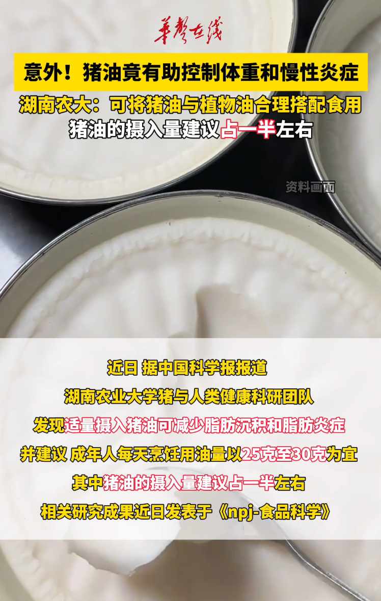 湖南农大研究揭示 猪油适量摄入有助控制体重和炎症
