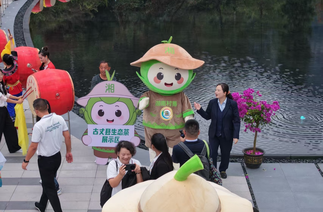 古丈县千年茶乡拓宽富民路