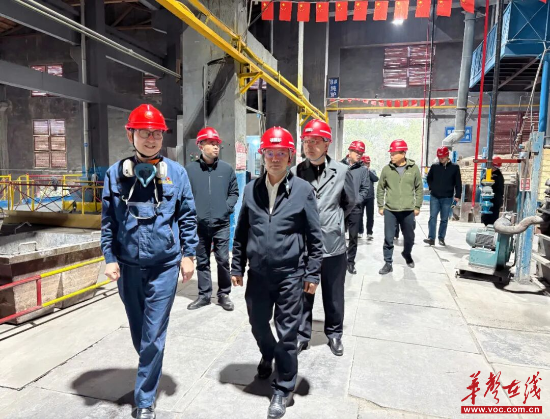 常德市自然资源和规划局赴湖南辰州矿业有限责任公司开展招商考察活动