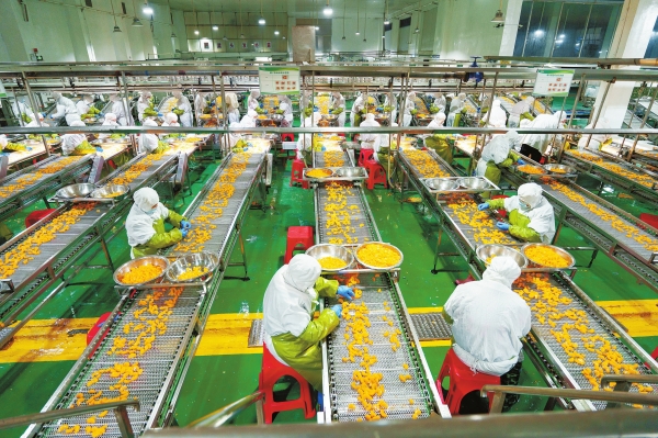 特色产业助增收